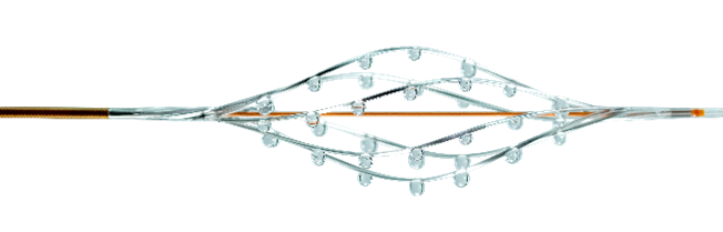 THROMBOLEX BASHIR ENDOVASCULAR CATHETER